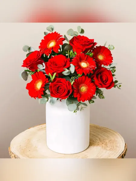 Gerbera ve Gül