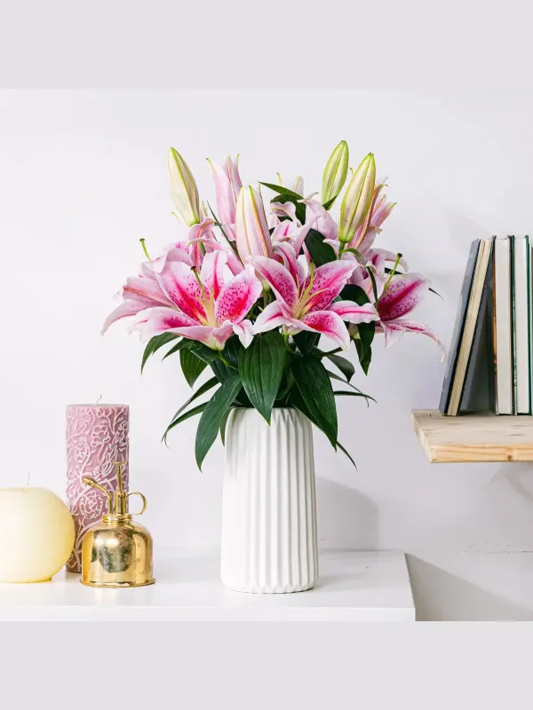 Pembe Lilyum