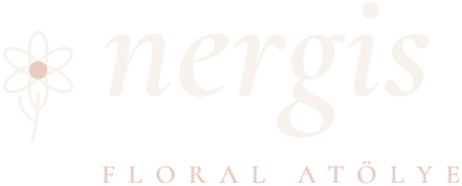 nergis